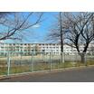 中学校