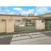 幼稚園、保育園