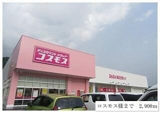 コスモス