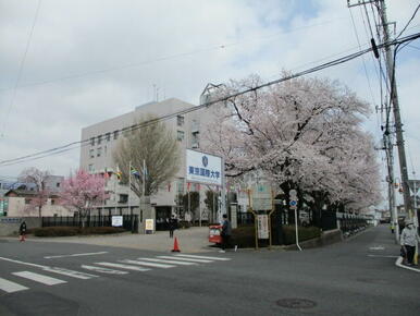 私立東京国際大学