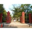 大学