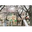 幼稚園、保育園