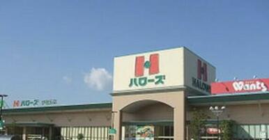 ハローズ北島中央店