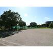 公園