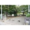 公園