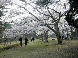 三峰公園