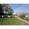 公園