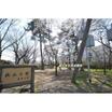 公園