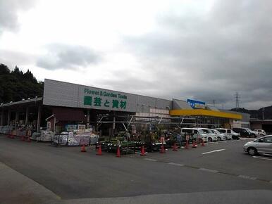 綿半ホームエイド都留店