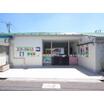 幼稚園、保育園