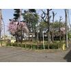 公園
