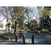 公園