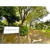 公園