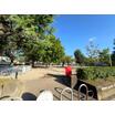 公園