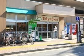 新丸子東急ストア