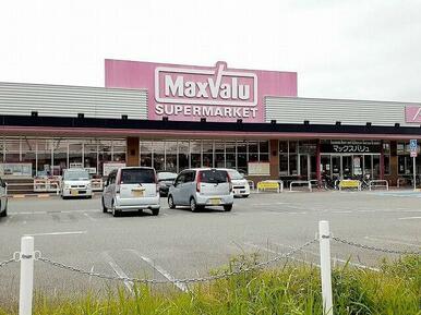 マックスバリュ大久保店