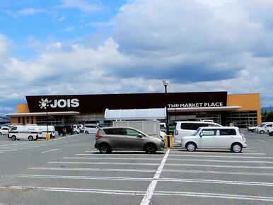 ジョイス　北上アピア店