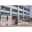 幼稚園、保育園