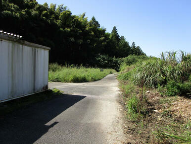 写真向かって右側の土地です