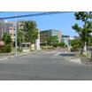 大学