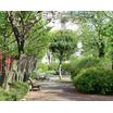 公園