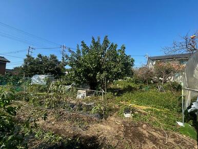 陽当たり良好な、閑静な住宅街です♪