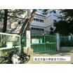 小学校