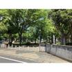 公園