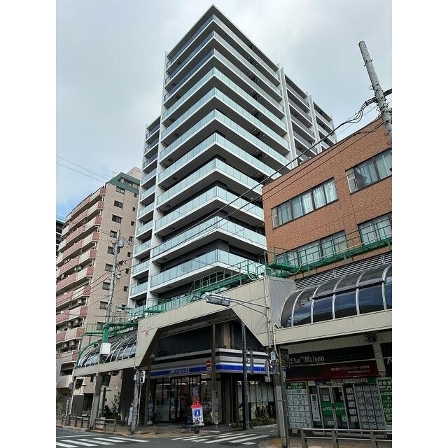 2026年2月撮影