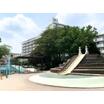 公園