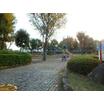 公園