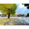 公園