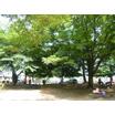 公園