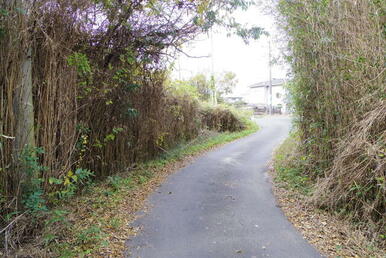 県道方向