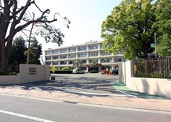 国立法人熊本大学薬学部