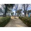 公園