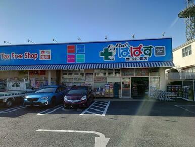 どらっぐぱぱす世田谷中町店