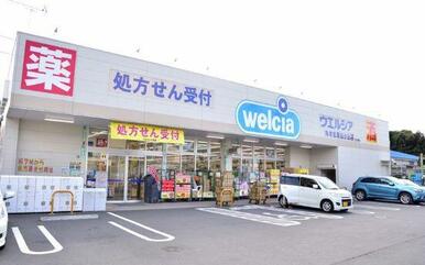 ウエルシア海老名東柏ケ谷店