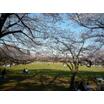 公園