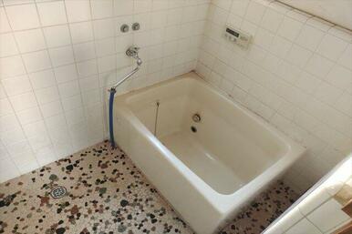 現地（2024年12月）撮影