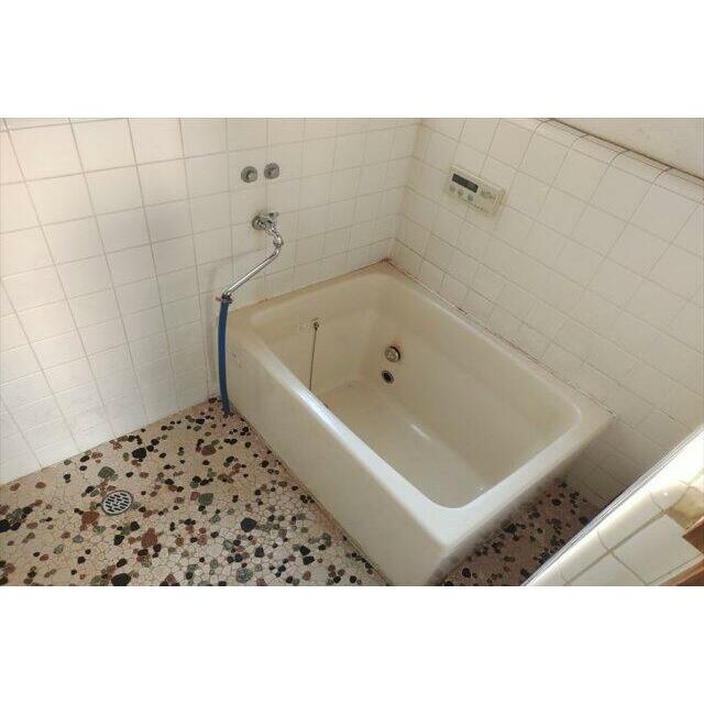 現地（2024年12月）撮影