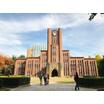 大学