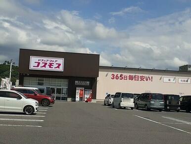 コスモス彦根駅東店様