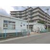 幼稚園、保育園