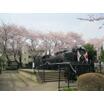 公園