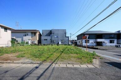 1号地　2026年6月10日撮影