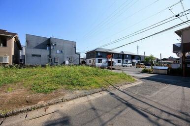 1号地　2026年6月10日撮影