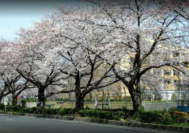 合併記念見沼公園