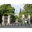 大学