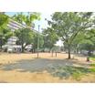 公園